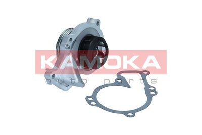 Water Pump, engine cooling T0295