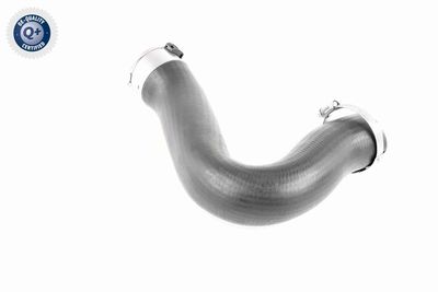 LADELUFTSCHLAUCH VAICO V103782 6