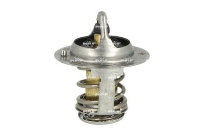TERMOSTAT LICHID RACIRE NRF 725193 4