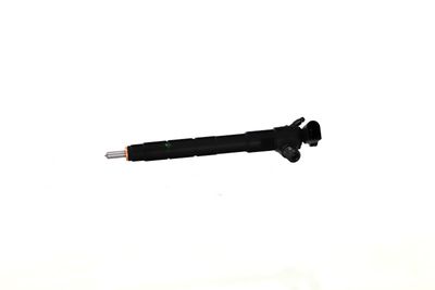 INJECTOR REMANTE 002003002260R 8