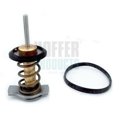 Thermostat, Kühlmittel