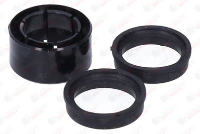 BUCSA ARBORE DE DIRECTIE BIRTH 4142 11