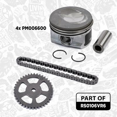 CHIT LANT DE DISTRIBUTIE ET ENGINETEAM RS0106VR6 6