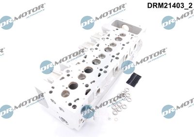 CHIULASA Dr.Motor Automotive DRM21403 2