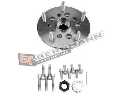 GT-BERGMANN Automotive Rato guolio komplektas