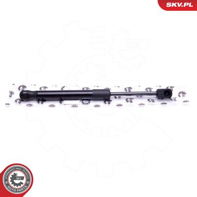 Dujinė spyruoklė, bagažinė