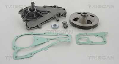 TRISCAN 8600 25094 Помпа (водяной насос)  для RENAULT TWINGO (Рено Тwинго)