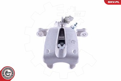 Brake Caliper 55SKV124