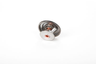 TERMOSTAT LICHID RACIRE CONTINENTAL 28020041732 14