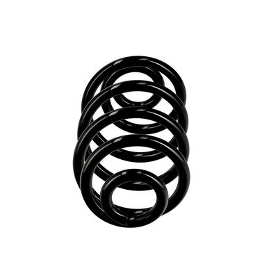 ARC SPIRAL EIBACH R10050 13