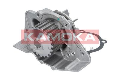 Water Pump, engine cooling T0082