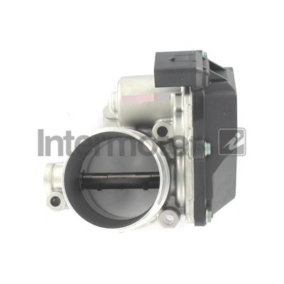 Throttle Body Intermotor 68391