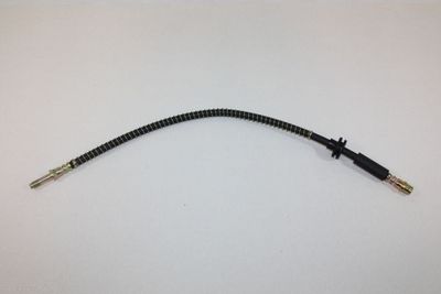 Stabdžių žarnelė