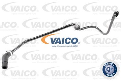 Vakuumslang, bromssystem VAICO V10-3606