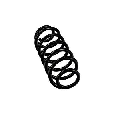 ARC SPIRAL EIBACH R10141 24