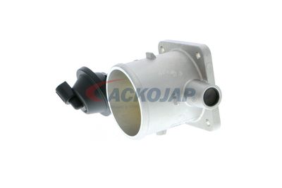 CARCASA CLAPETA ACKOJA A53810012 19