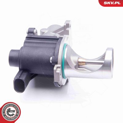 SUPAPA EGR ESEN SKV 14SKV172 3