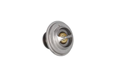 TERMOSTAT LICHID RACIRE