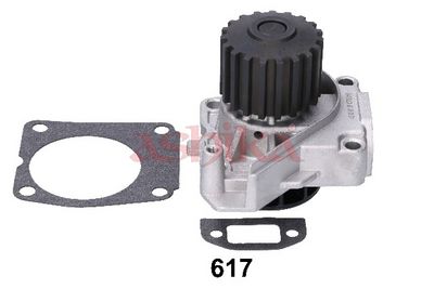 Pompa apa, racire motor ASHIKA 35-06-617