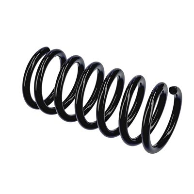 ARC SPIRAL EIBACH R13306 21