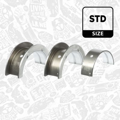 SET RULEMT ARBORE COTIT ET ENGINETEAM LH006400 2