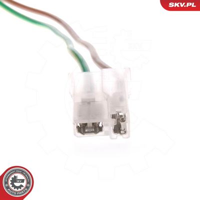 POMPA COMBUSTIBIL ESEN SKV 02SKV224 2