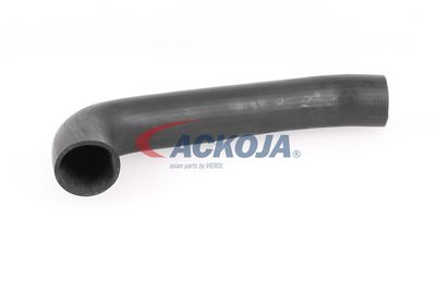 FURTUN EAR SUPRAALIMENTARE ACKOJA A379602 57