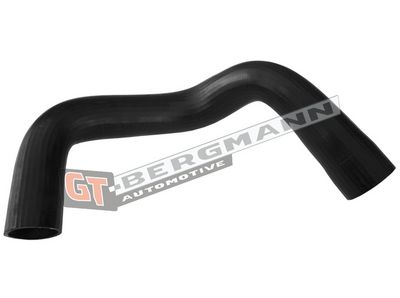 GT-BERGMANN Automotive - Hadica plniaceho vzduchu (hadica turba) FORD , GT52-517