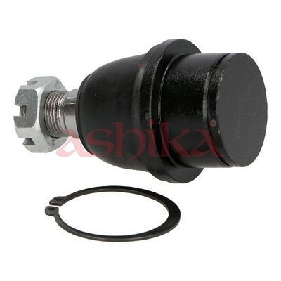 Čap ramena ASHIKA 73-0K-K04