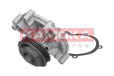 Water Pump, engine cooling T0100