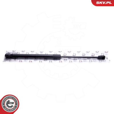 Dujinė spyruoklė, bagažinė