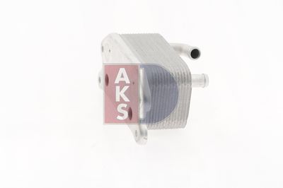 RADIATOR ULEI ULEI MOTOR AKS DASIS 226007N 11