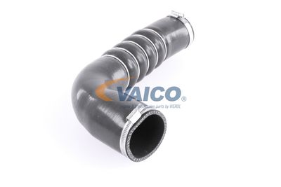 FURTUN EAR SUPRAALIMENTARE VAICO V103794 52