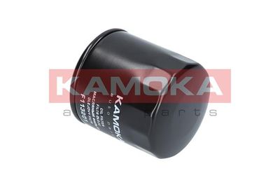 Oil Filter F113201