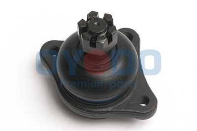 Šarnyras / girgždukas