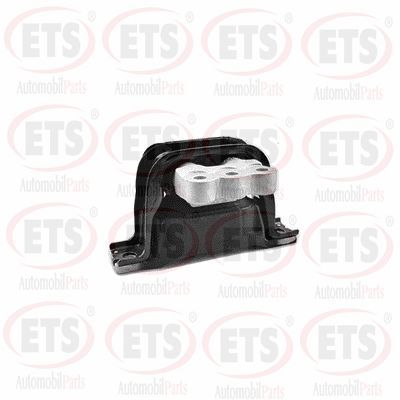 окачване, двигател ETS 54.EM.102