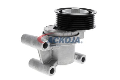 INTINZATOR CUREA CUREA DISTRIBUTIE ACKOJA A320602 30