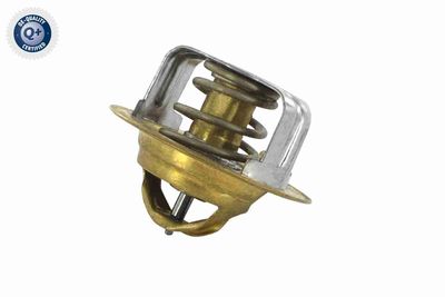Termostat, chladivo ACKOJA A32-99-1704
