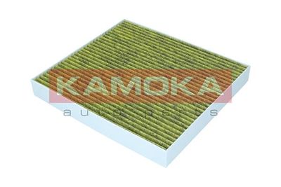 Filter, cabin air 6080138