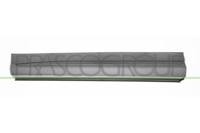 ELEMENTE DECORATIVE/PROTECTIE PORTIERA