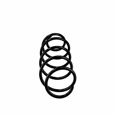 ARC SPIRAL EIBACH R10079 1