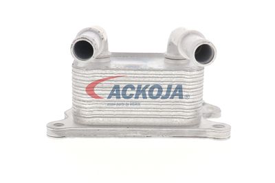 RADIATOR ULEI ULEI MOTOR ACKOJA A38600004 12
