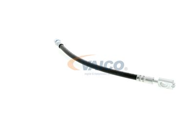 FURTUN FRANA VAICO V104127 41