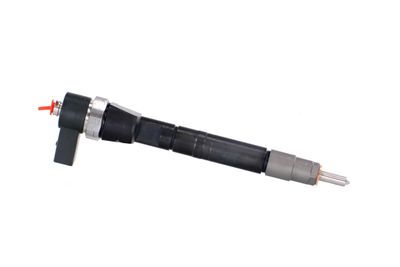INJECTOR REMANTE 002003001146R 43