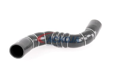 FURTUN EAR SUPRAALIMENTARE ACKOJA A389602 56