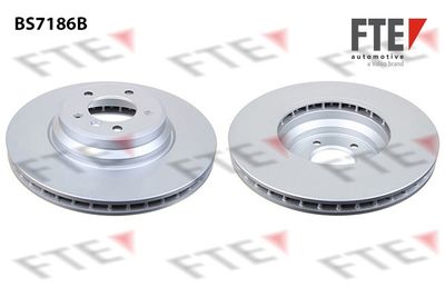 FTE 9081080 Тормозные диски  для BMW X1 (Бмв X1)