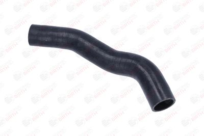 FURTUN EAR SUPRAALIMENTARE BIRTH 55800 2