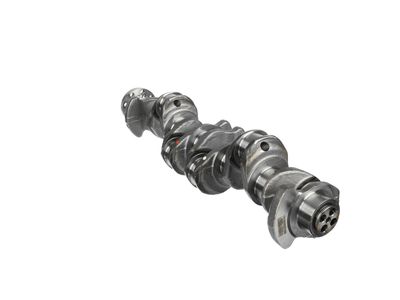 ARBORE COTIT ET ENGINETEAM HK0211 22