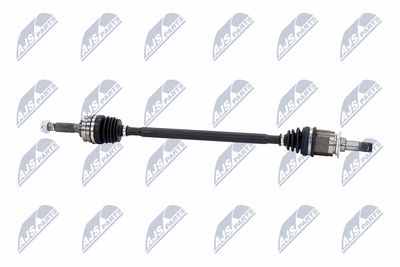 PLANETARA NTY NPWCH094 26