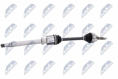 PLANETARA NTY NPWFR063 6